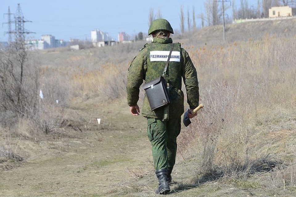 В селе под Новосибирском водитель мусоровоза выбросил боевой снаряд в кусты. Фото: Геннадий БИСЕНОВ