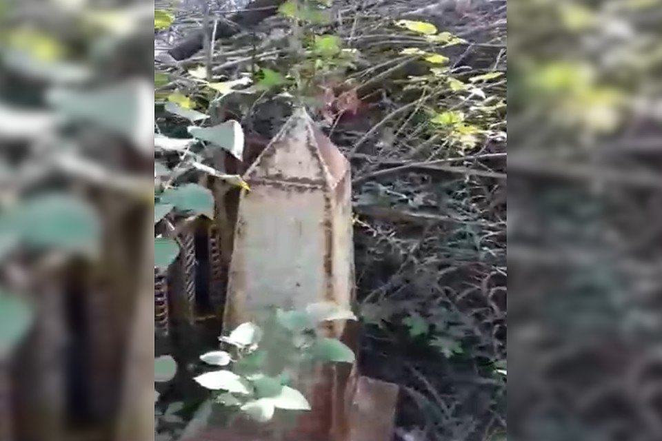 фото: кадр видео