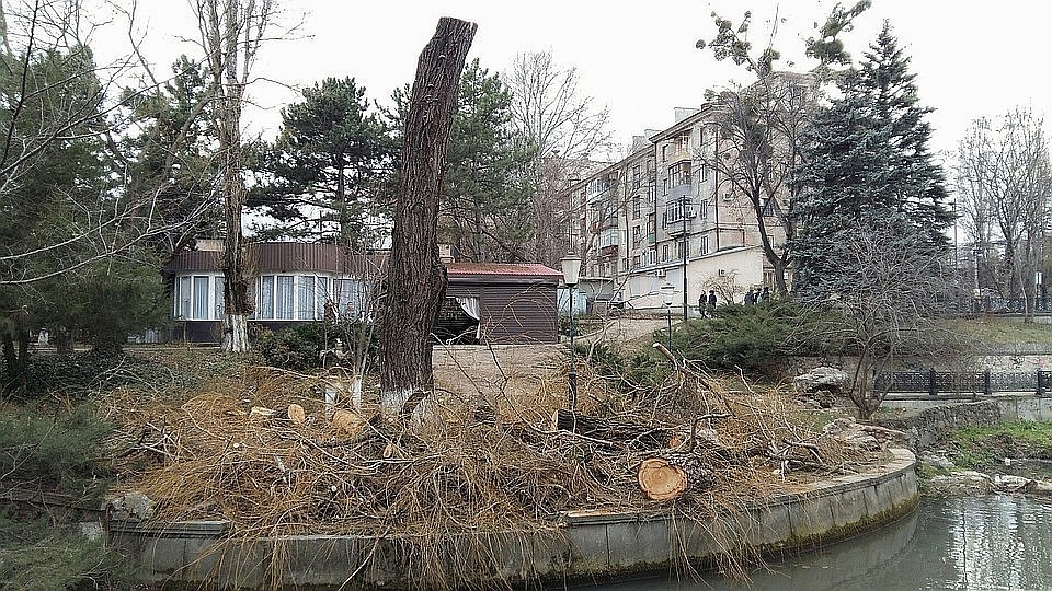 Пораженная площадь составляет более 1 гектара