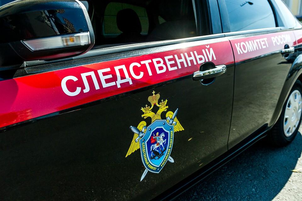 Нашли северянина недалеко от дома 153 по Кольскому проспекту.