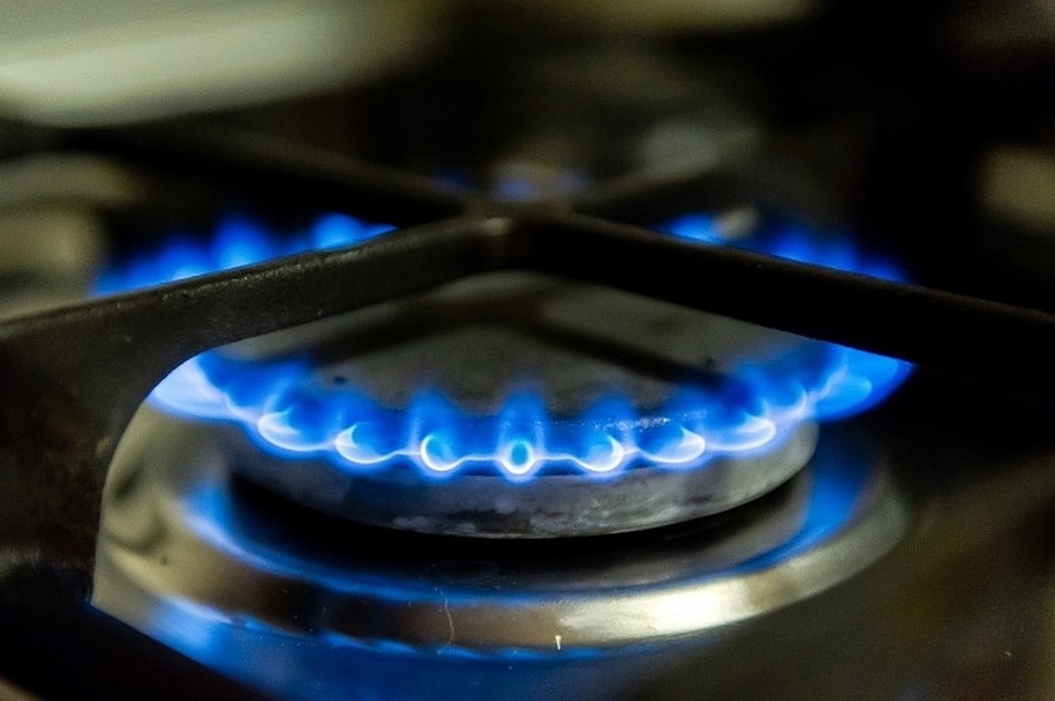 В Гатчине погибли мать и двое детей. Причиной стал газ.
