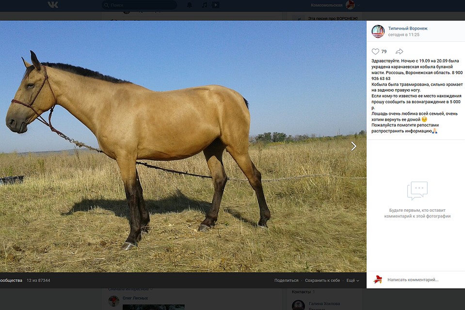 К сожалению, найти угонщиков не просто
