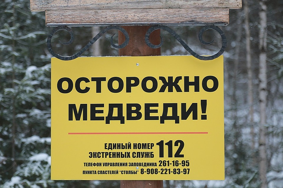 На Красноярских столбах три туриста забрались на Чертов палец, спасаясь от медведя-преследователя