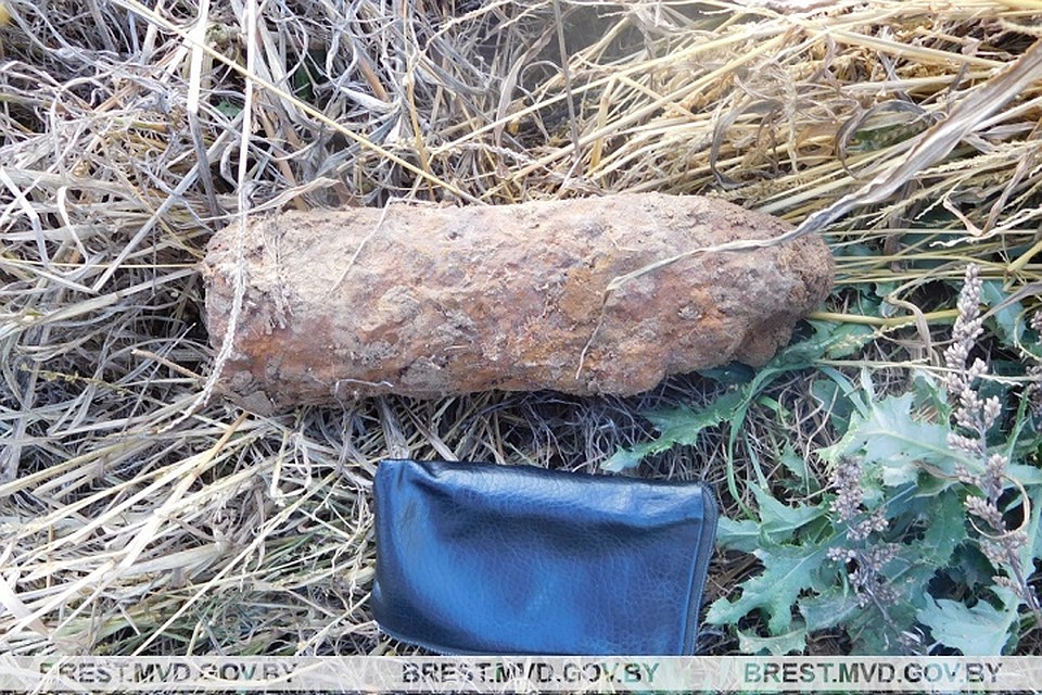 Найденные снаряды и взрыватели уничтожили. Фото: УВД Брестского облисполкома.