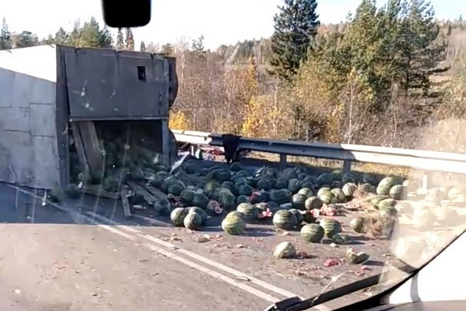скриншот видео