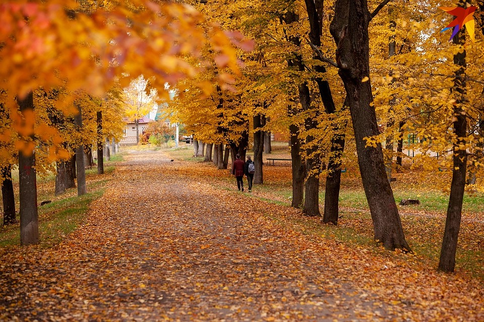 Осень в Орле