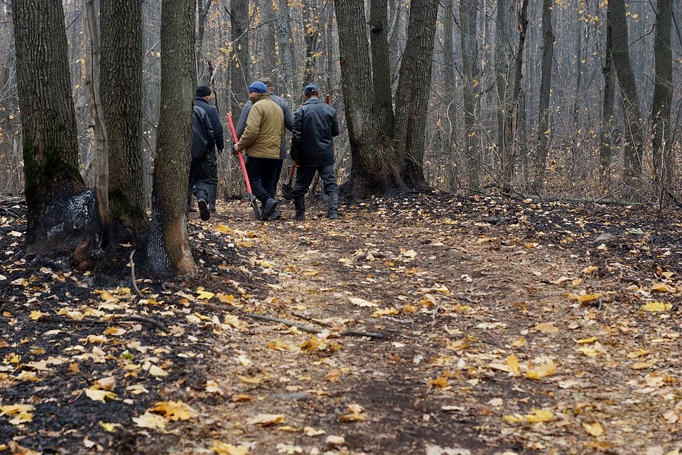 Пламя потушили. Сейчас волонтеры и пожарные следят, чтобы оно не вспыхнуло снова.
