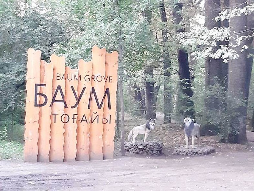 Из газетной статьи