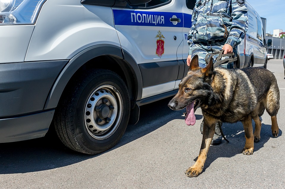 Полиция Петербурга разыскивает яркую школьницу в оранжевом полушубке