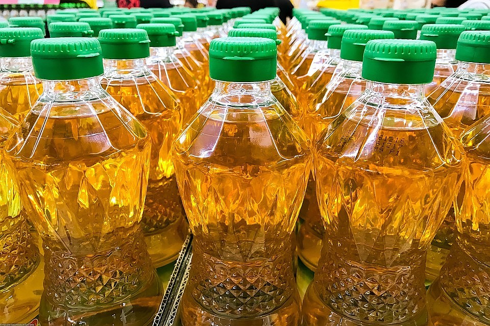 В России могут ввести запрет на «грязное» пальмовое масло
