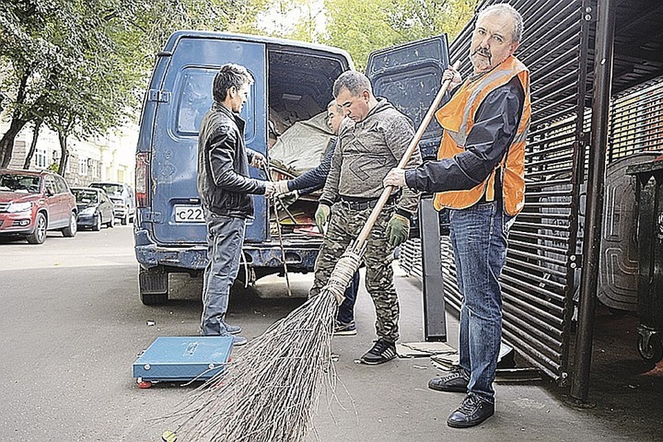В Петербурге дворник прыгал на дереве, чтобы стряхнуть листья с веток.