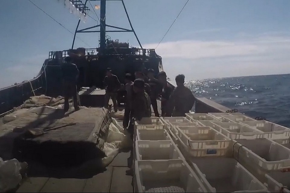 Браконьеры держатся вместе, общаются только между собой