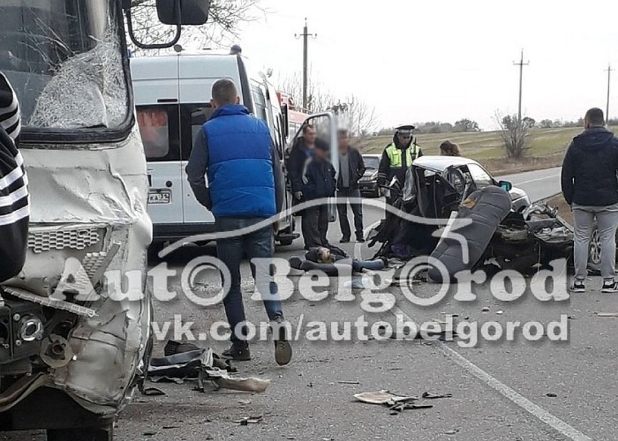 Фото сообщества "Авто Белгоролд" ВКонтакте.