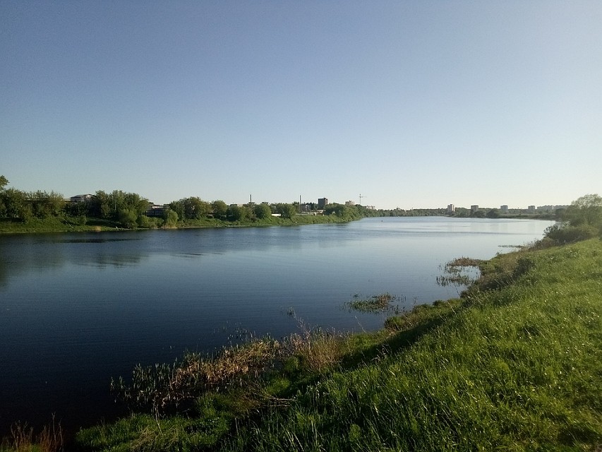 Следить за качеством воды в Волге будет "Речной дозор"