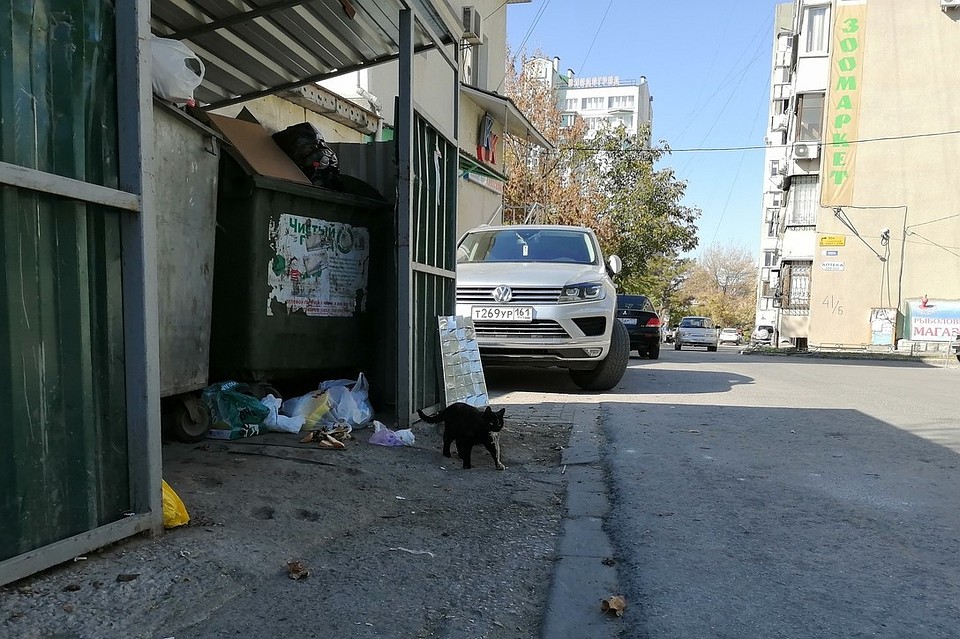 Вечно переполненные контейнеры портят общий облик города и нервы его жителям.