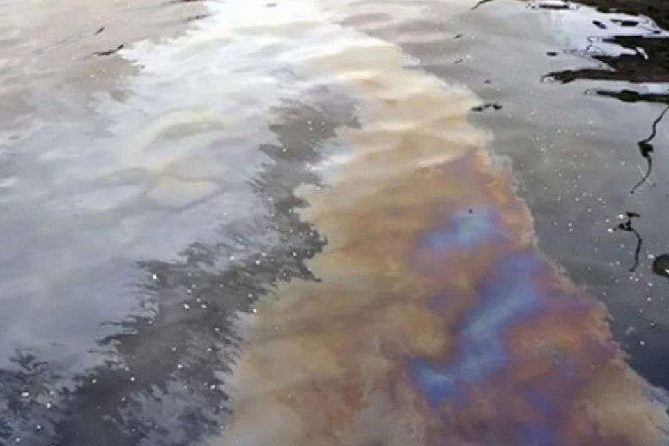 Масляное пятно в губе Ура Росприроднадзор не нашел. Фото: СеверПост