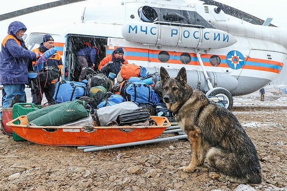 Люди продолжают обращаться за помощью врачей Фото: ГУ МЧС по Красноярскому краю