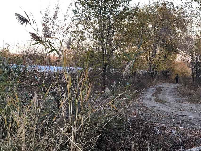 Фото прокуратуры Саратовской области