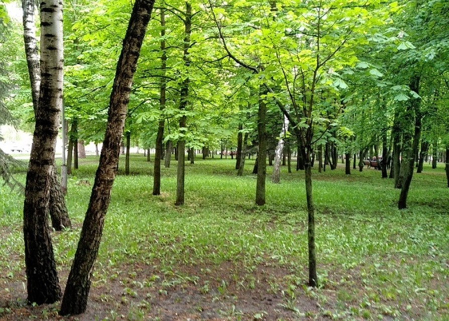 Подрядчик должен заменить 25871 светильник