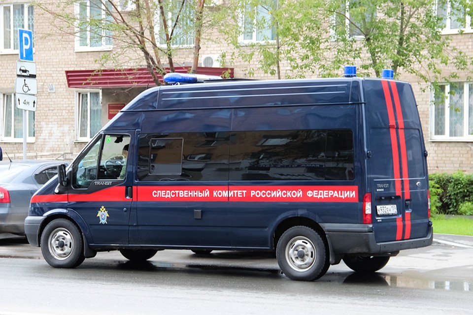 Девочку пытались спасти медики