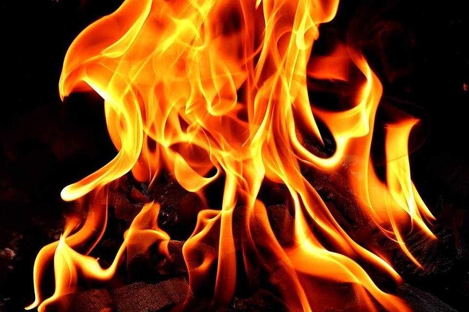 Фото: pixabay.com