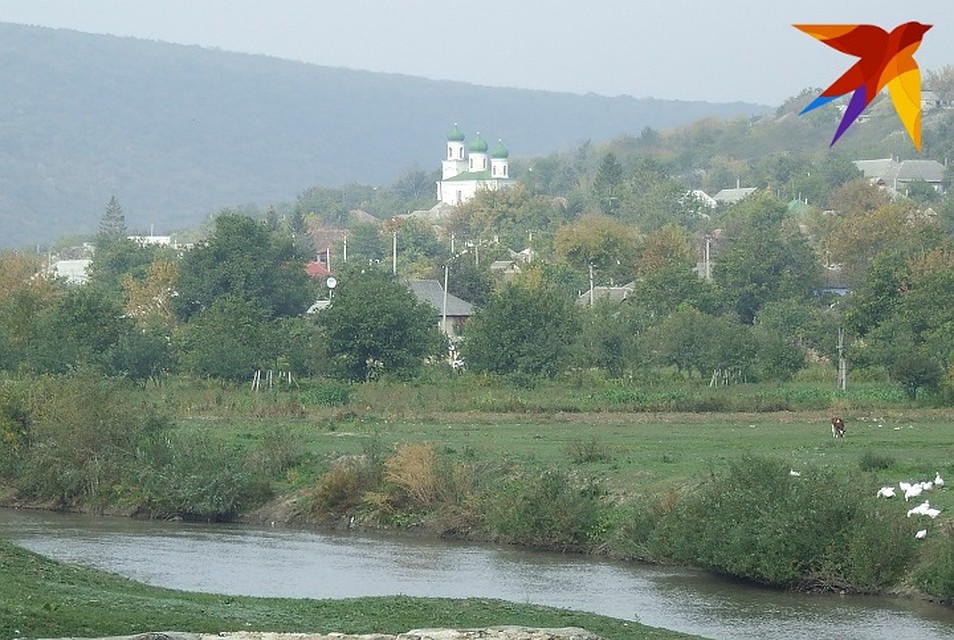 На берегах Реута высаживают деревья