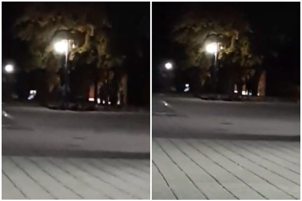 Шокирующее видео снял очевидец происшествия. Фото: скриншот из видео