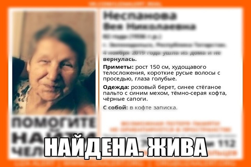 Фото: ПСО "Лиза Алерт"