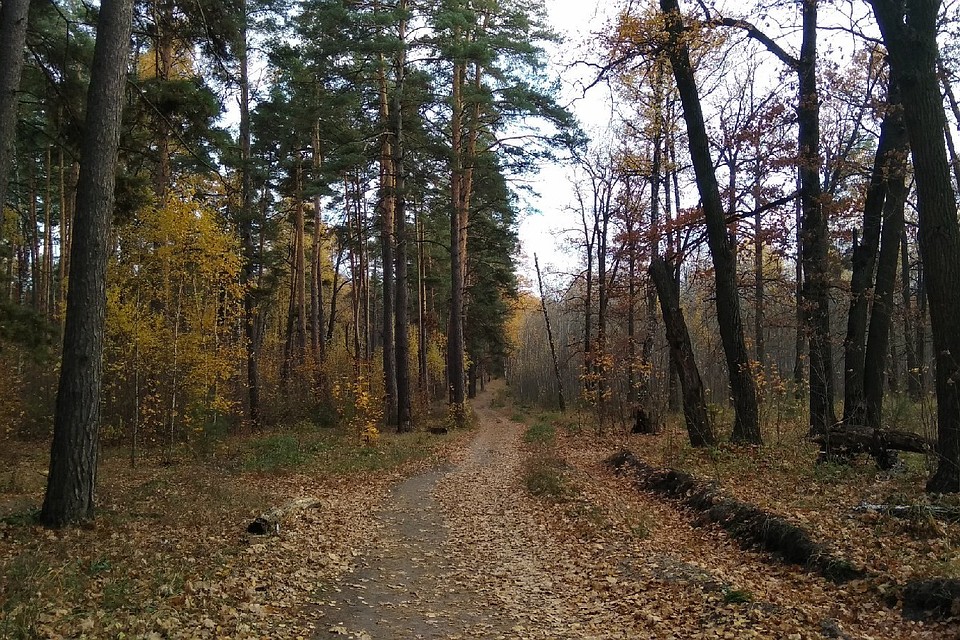 В регион неожиданно вернулось тепло