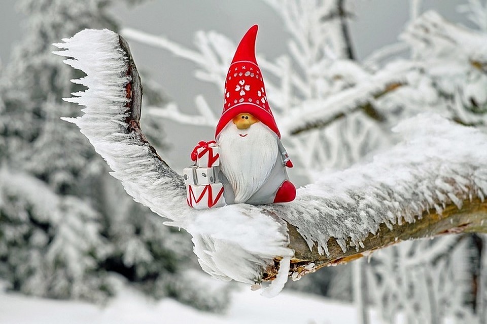 Белорусы хотят отдыхать 31 декабря и не отрабатывать 2 января. Фото: pixabay.com.