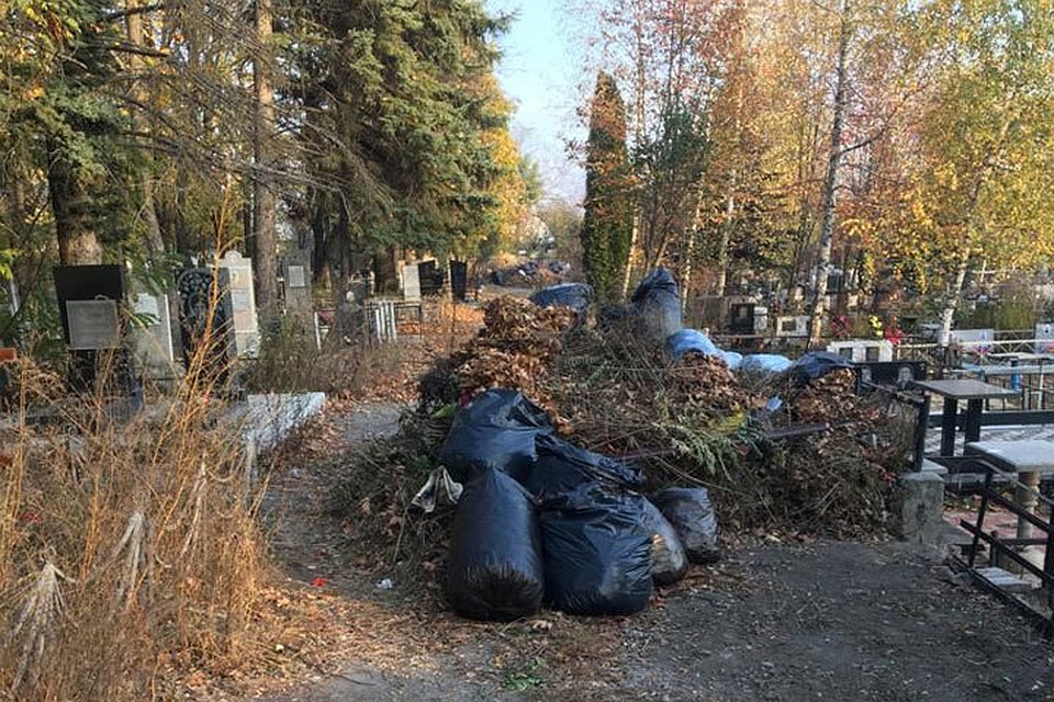 Фото пресс-службы главы администрации Ессентуков.