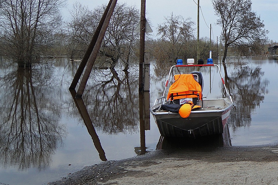 Лесных пленников благополучно выдворили из водной западни.