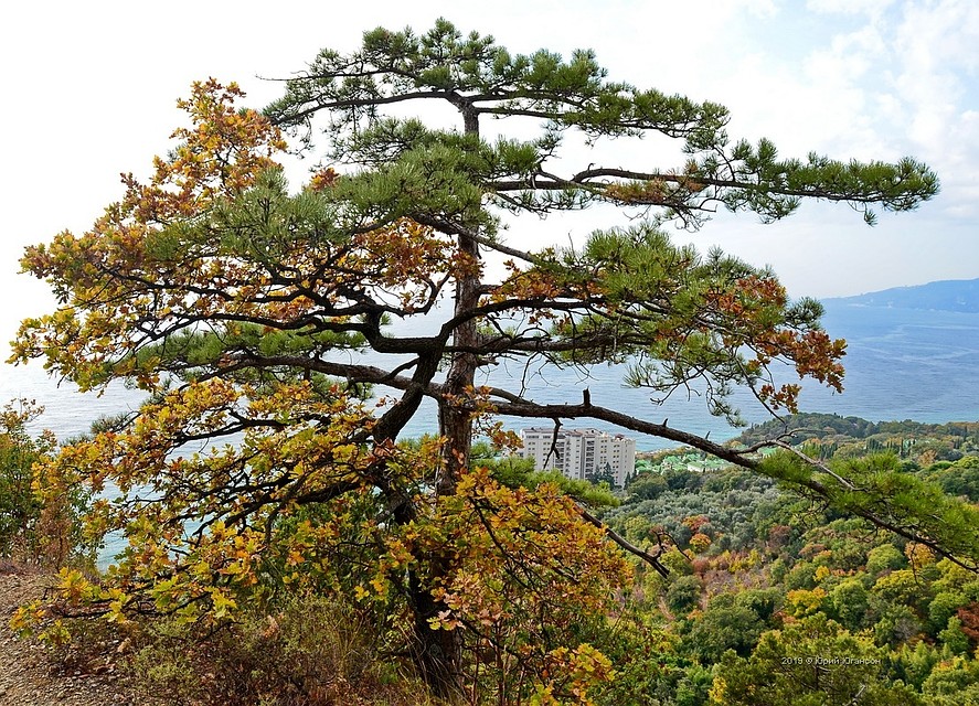 Будет тепло и солнечно