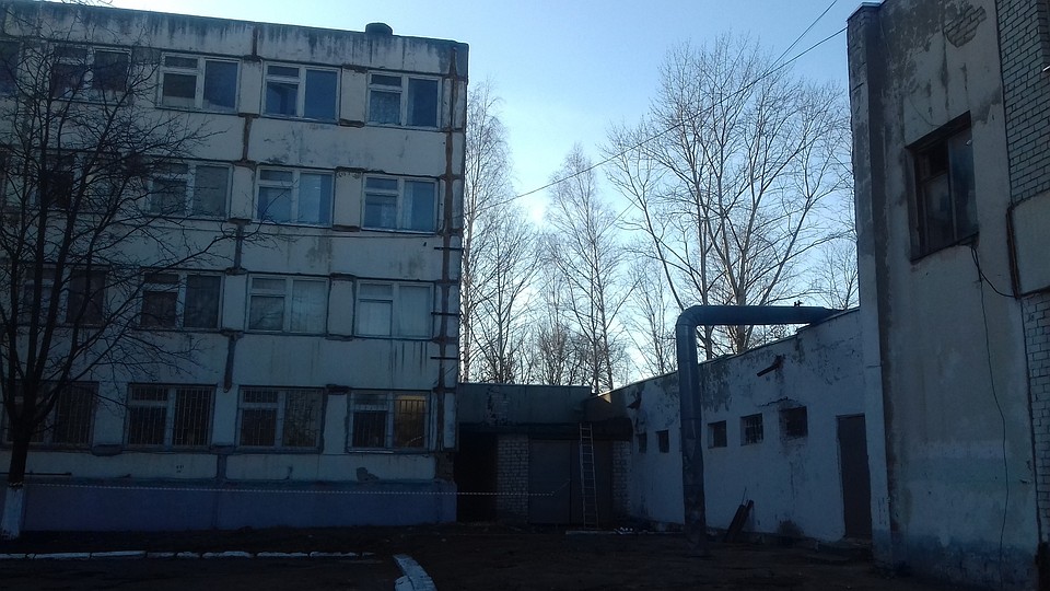 Фото предоставлено Новомичуринским многоотраслевым техникумом.