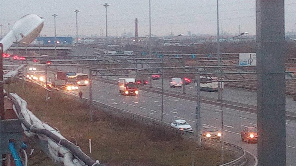 Лося насмерть сбили на Московском шоссе. Фото: группа "ДТП и ЧП Петербурга"