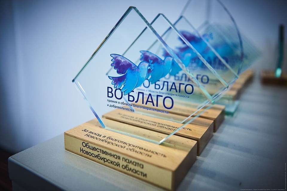 Общественная палата Новосибирской области впервые провела благотворительный конкурс "Во благо".