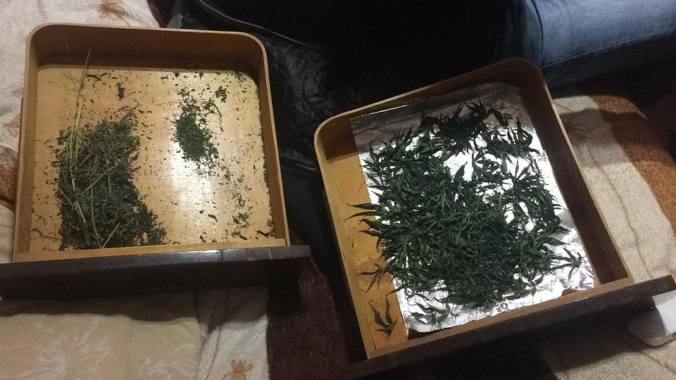Марихуану феодосиец хранил дома. Фото: ПУ ФСБ по РК