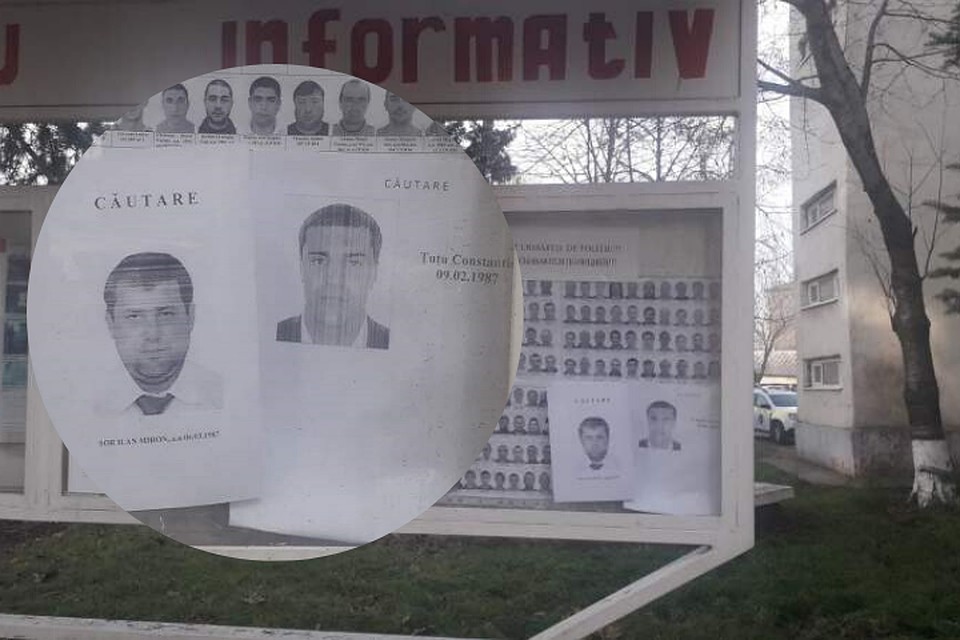 Шор и Цуцу разыскиваются. Фото omg.