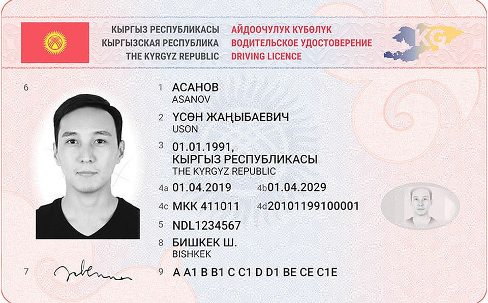 Так выглядят водительские права нового образца.