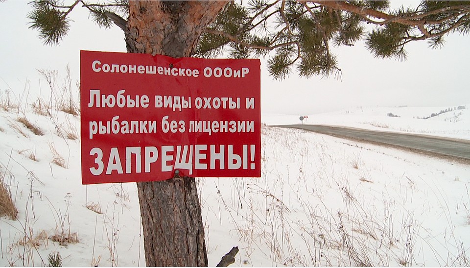 В Смоленском районе благодаря рейдам сокращается число браконьеров