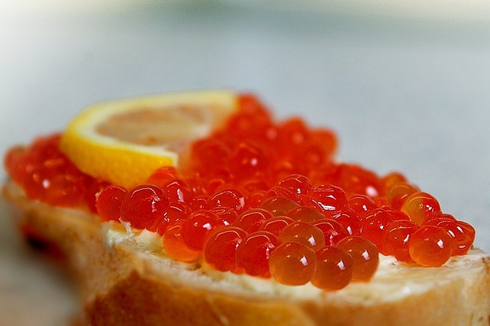 ФОТО: pixabay.com.