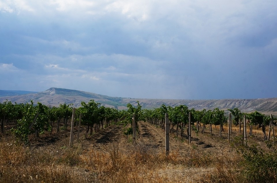 Фото: Мария Ворнакова