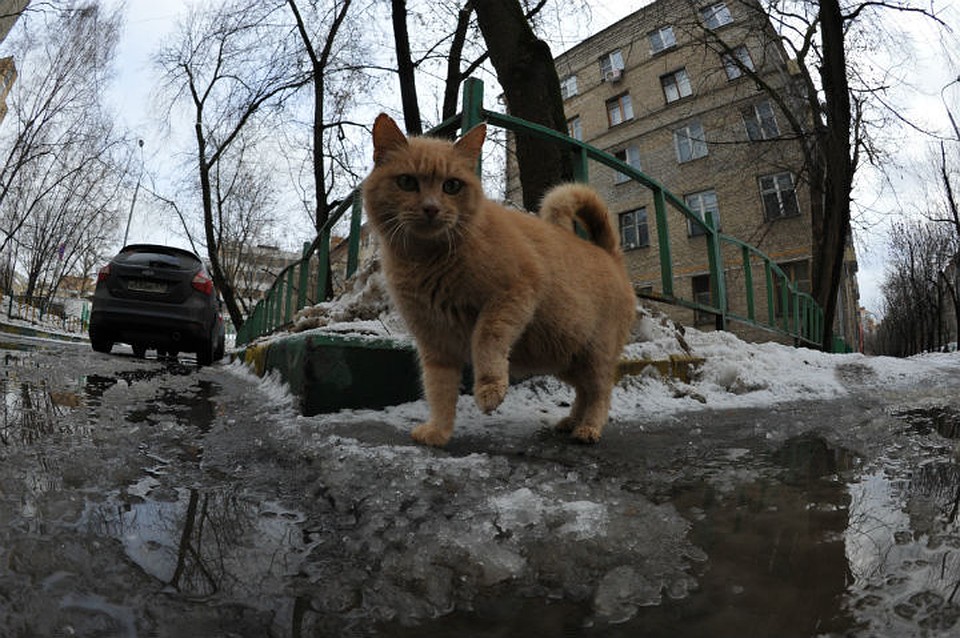 Потепление ожидается уже на следующей недели.