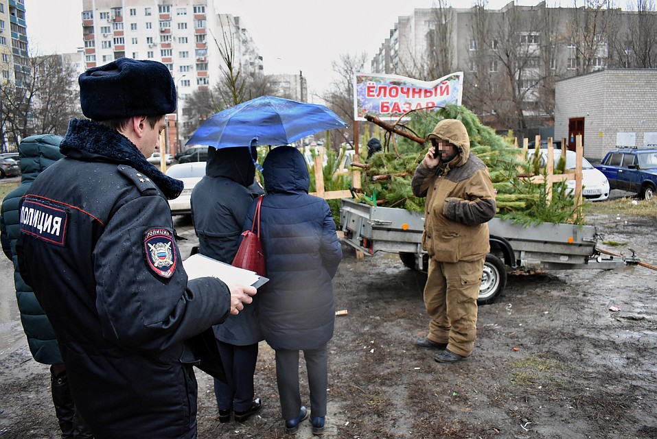 Незаконные елочные базары ликвидируют чиновники и полиция. Фото управы Ленинского района