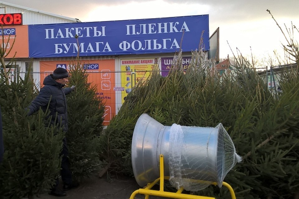 Елочные базары развернулись в наиболее оживленных местах.