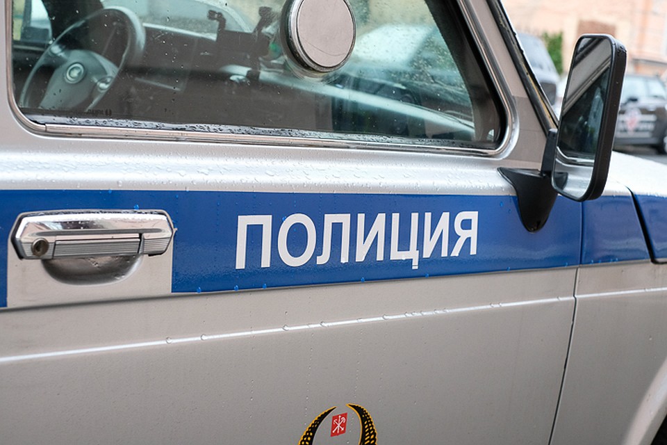 В Петербурге в новогодние праздники няня увела ребенка от пьющей матери.