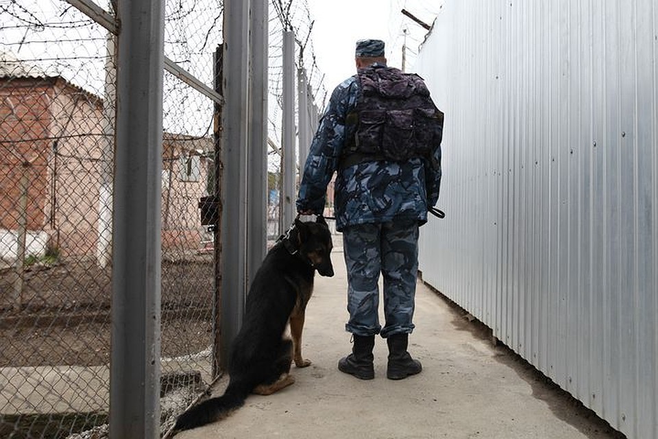 По факту происшествия в колонии проводится проверка