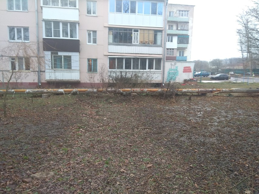 Фото: ОНФ в Орловской области