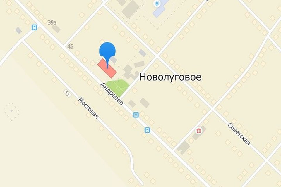 В Новолуговом потерялся мужчина. Фото: «Лиза Алерт»