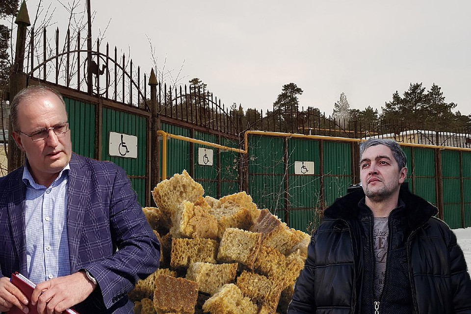 Чиновник Сергей Самсонов и депутат Роман Никитин